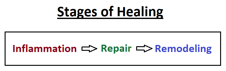 Stages of Healing